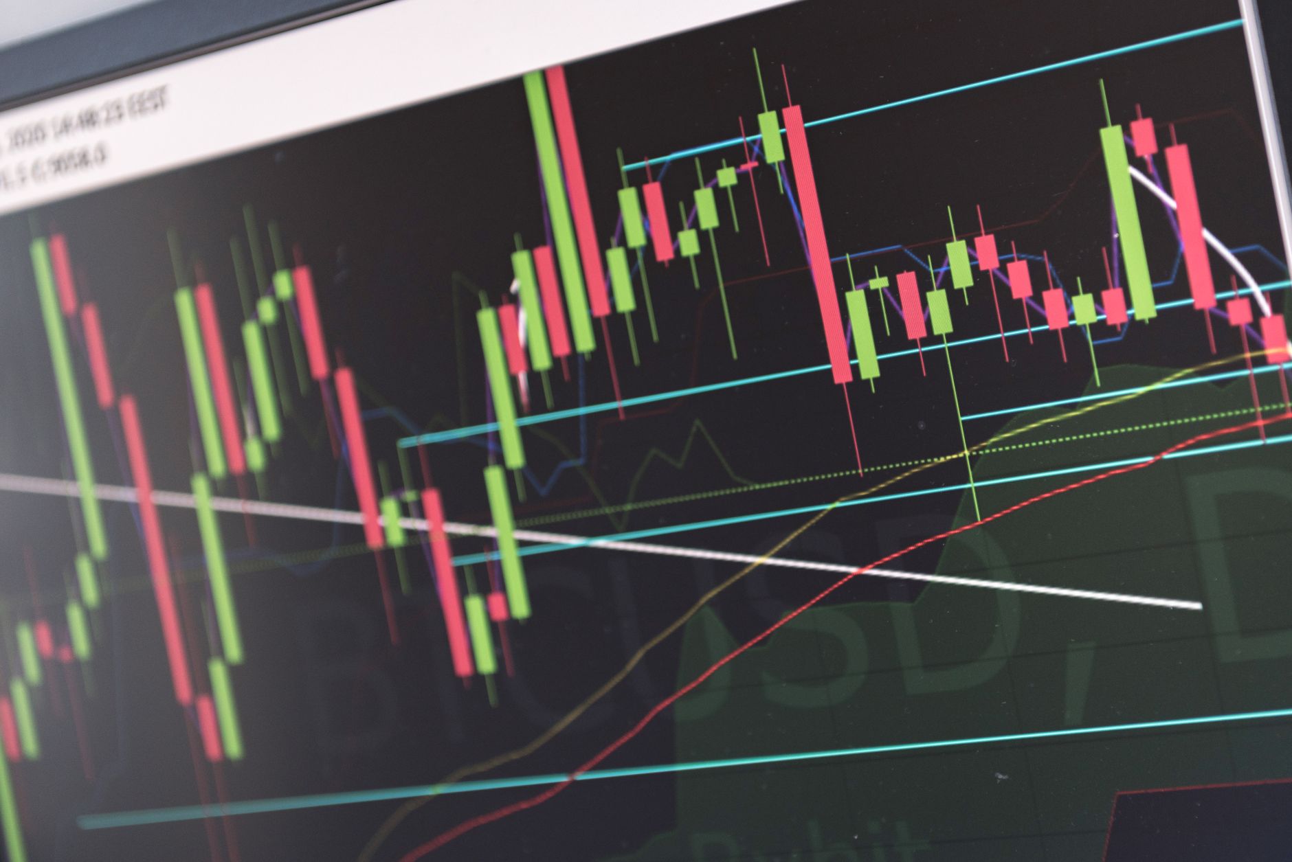 AI Portfolio Management Services: The Complete Guide to Automated Investing in 2024