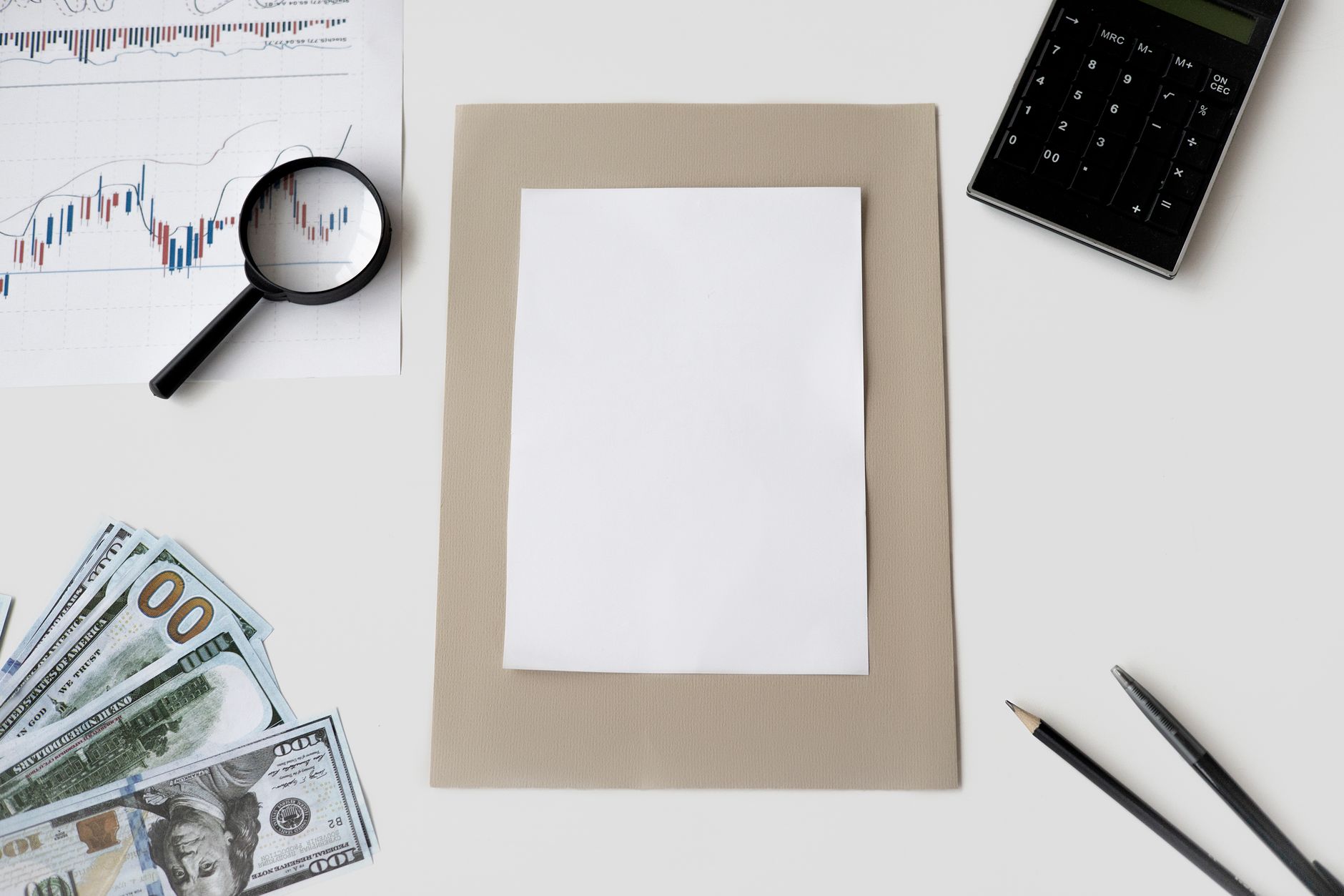 Blue Chip Stocks for Beginners: The 2026 Guide to Safe, Steady Investing
