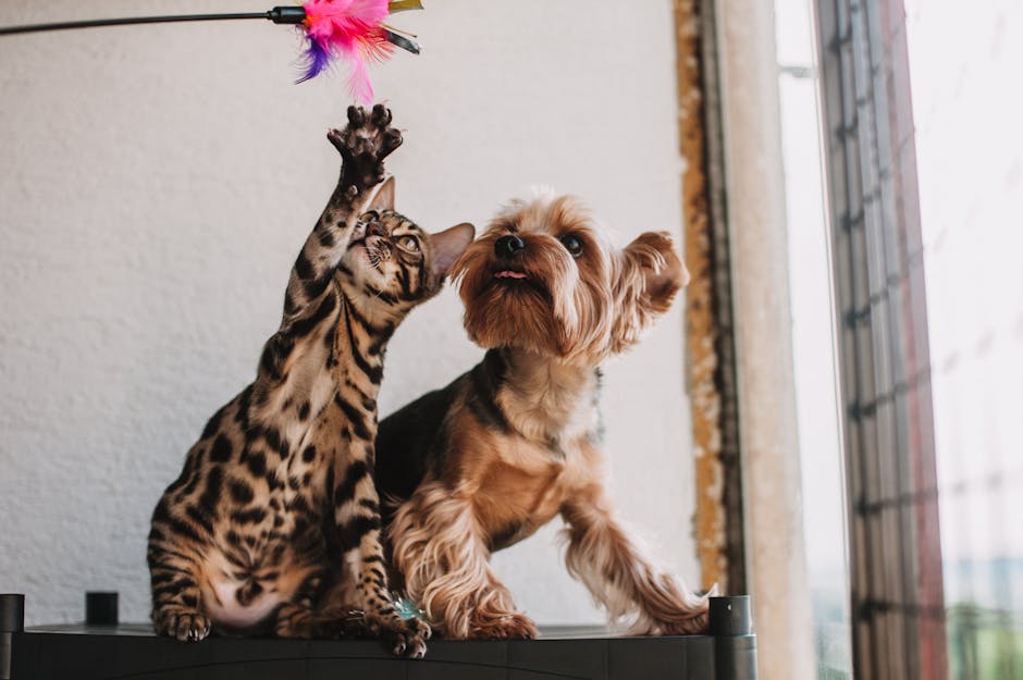 Multi Pet Insurance Discounts: The Complete Guide to Saving 10-25% on Pet Insurance in 2025