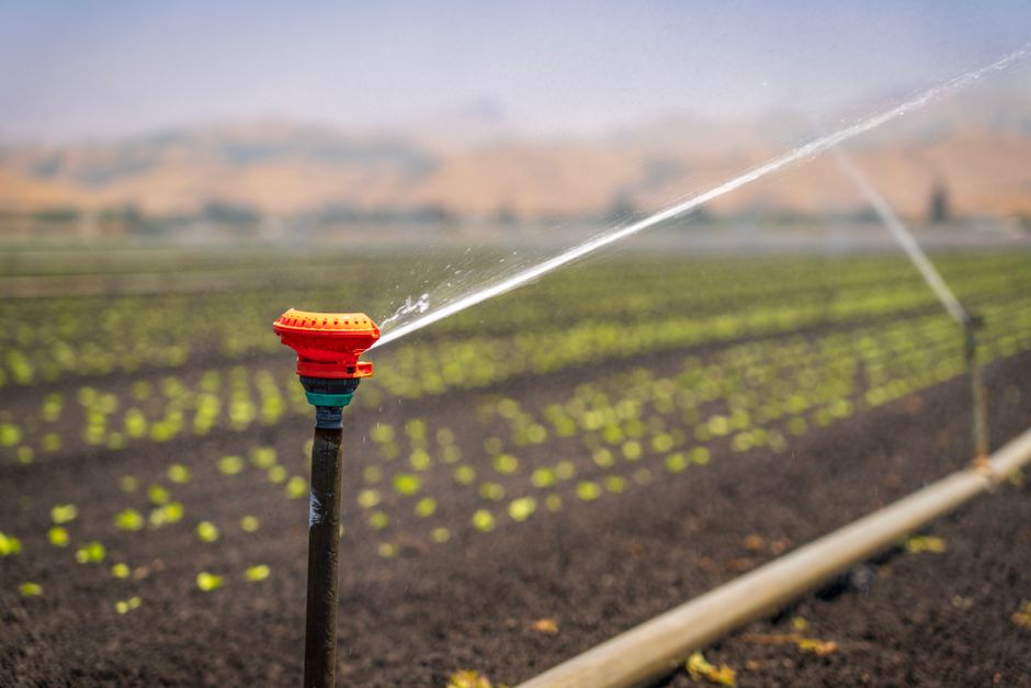 Farmland Water Rights and Irrigation: The Complete Investor's Guide to Agricultural Water Assets