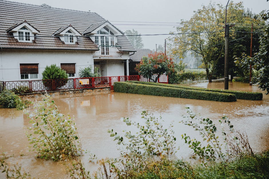 Flood Insurance Elevation Certificate: The Complete Guide to Saving Thousands on Flood Insurance