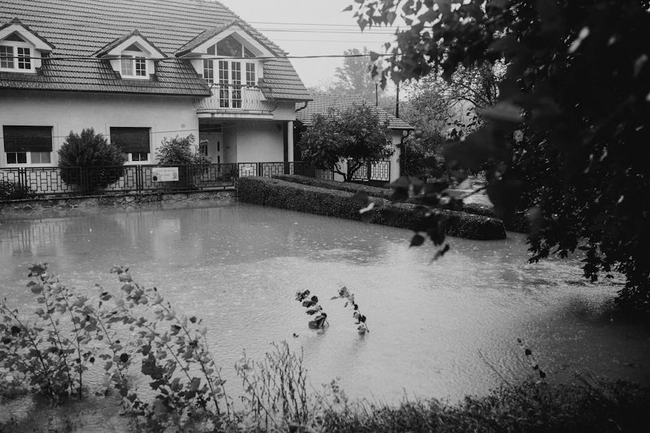 Swimming Pool Loan Requirements: The Complete Guide to Financing Your Backyard Oasis