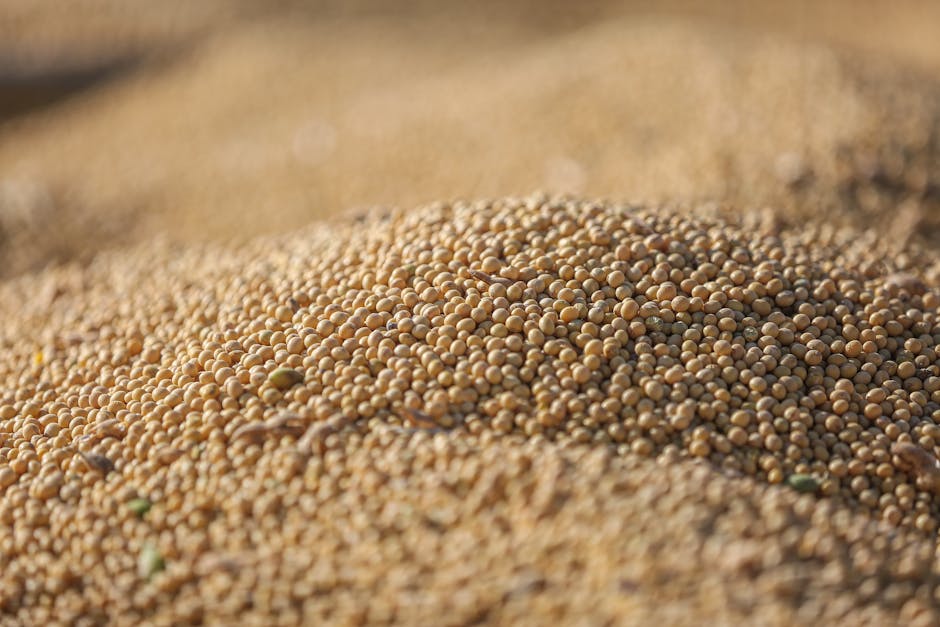 Agricultural Commodities Guide: The Complete Guide for Smart Investors