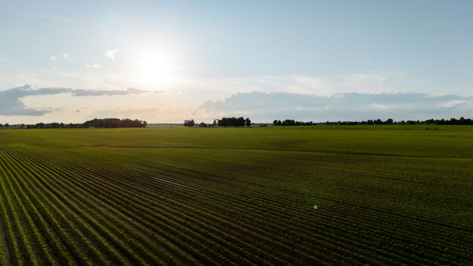 Farmland Investing: Agriculture as an Alternative Asset Class