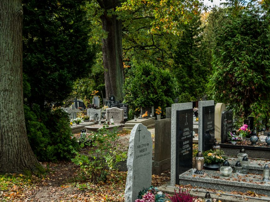 Final Expense vs Pre Paid Funeral Plans: Complete Guide to Choosing the Right Funeral Funding Option (2024)