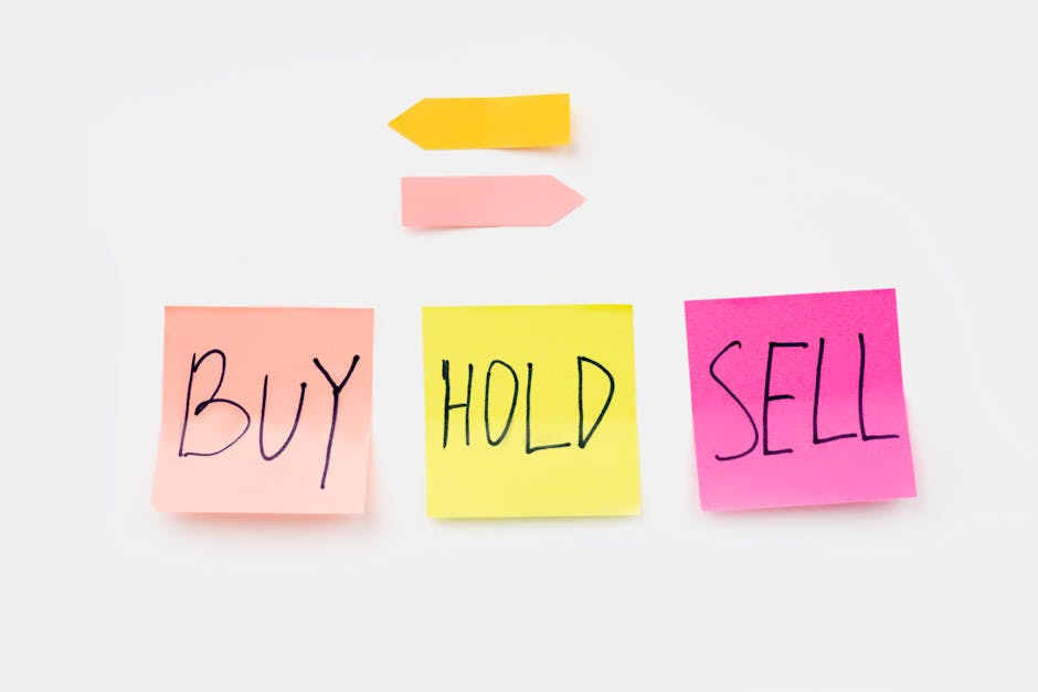 Call Option vs Put Option Explained: Complete Guide for 2024 Investors