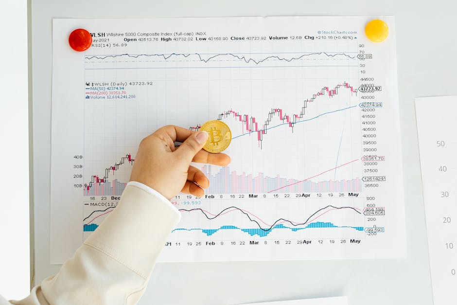Bull Markets in History: Patterns, Data, and Lessons for Today's Investors