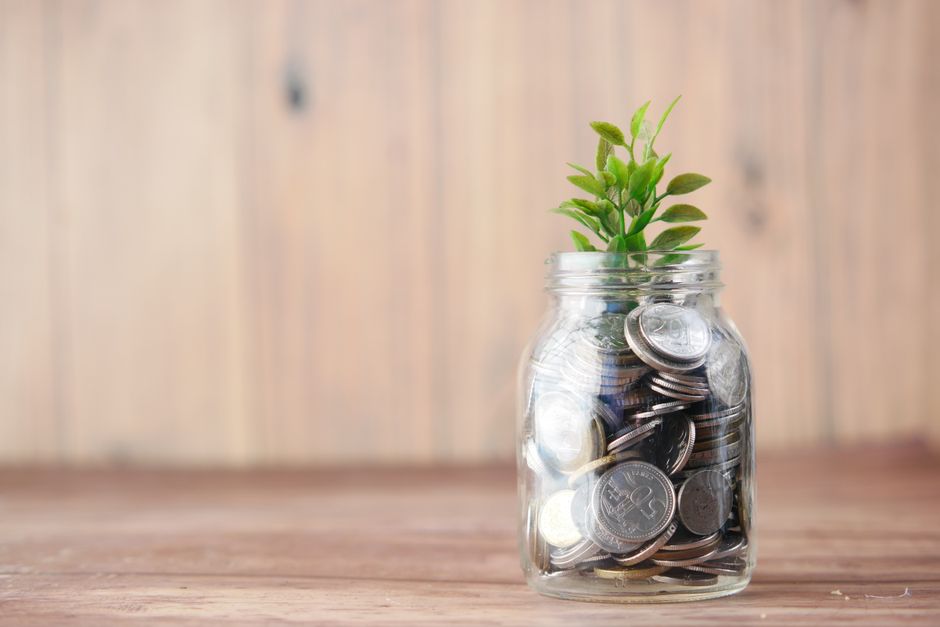 Small Cap Growth vs Large Cap Growth: Which Strategy Builds More Wealth in 2024?