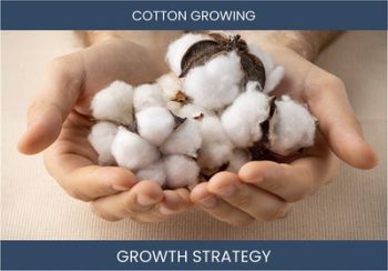 Boost Cotton Farming Sales: Profit-Driven Strategies