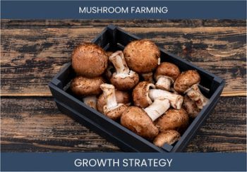 Boost Mushroom Farm Sales & Profit with Winning Strategies