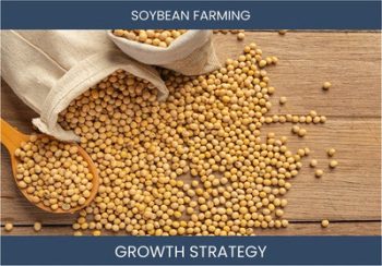 Soy Farming Sales & Profitability Strategies - Boost Your Business