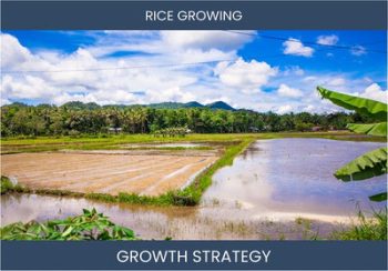 Boost Rice Farm Sales: Proven Strategies for Profitability