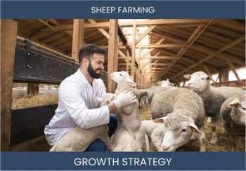 Sheep farming sales strategies for profitability