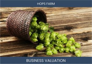 Valuing a Hops Farming Business: Key Considerations and Valuation Methods