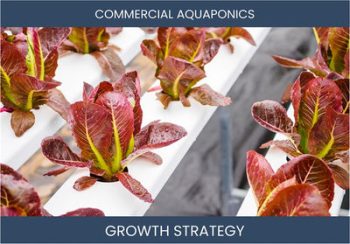 Boost Aquaponics Profit: Winning Sales Strategies