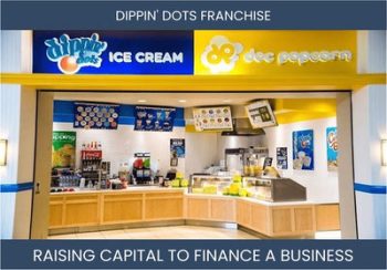 The Complete Guide To Dippin' Dots Franchisee Business Financing And Raising Capital