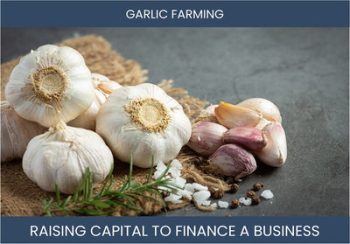 The Complete Guide To Garlic Farming Business Financing And Raising Capital