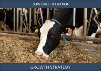 Boost Cow-Calf Sales: Proven Profit Strategies