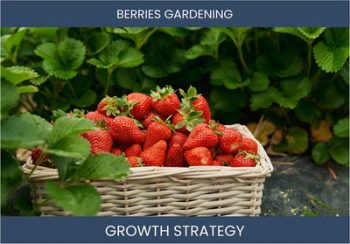 Boosting Berry Gardening Business Sales & Profitability